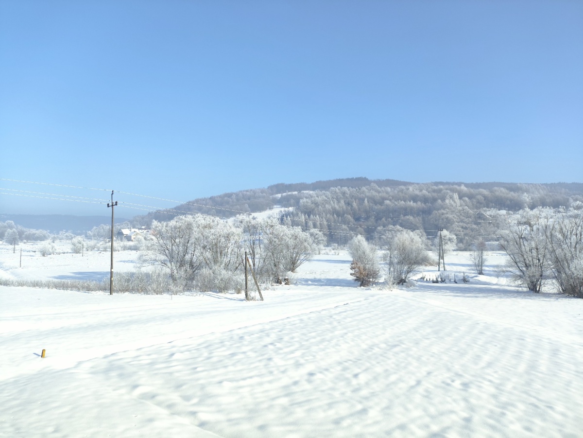 66f6ec08-5b9d-4869-973a-fc9dadc561e5