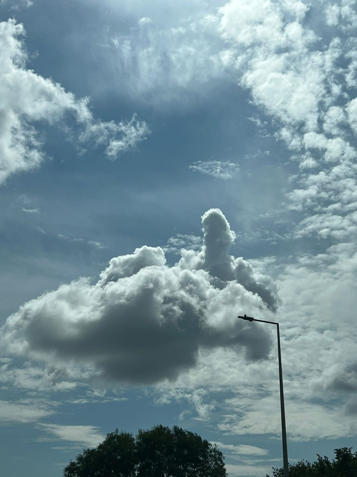 b9c2077e-b826-4766-89c7-837911b2cbd7