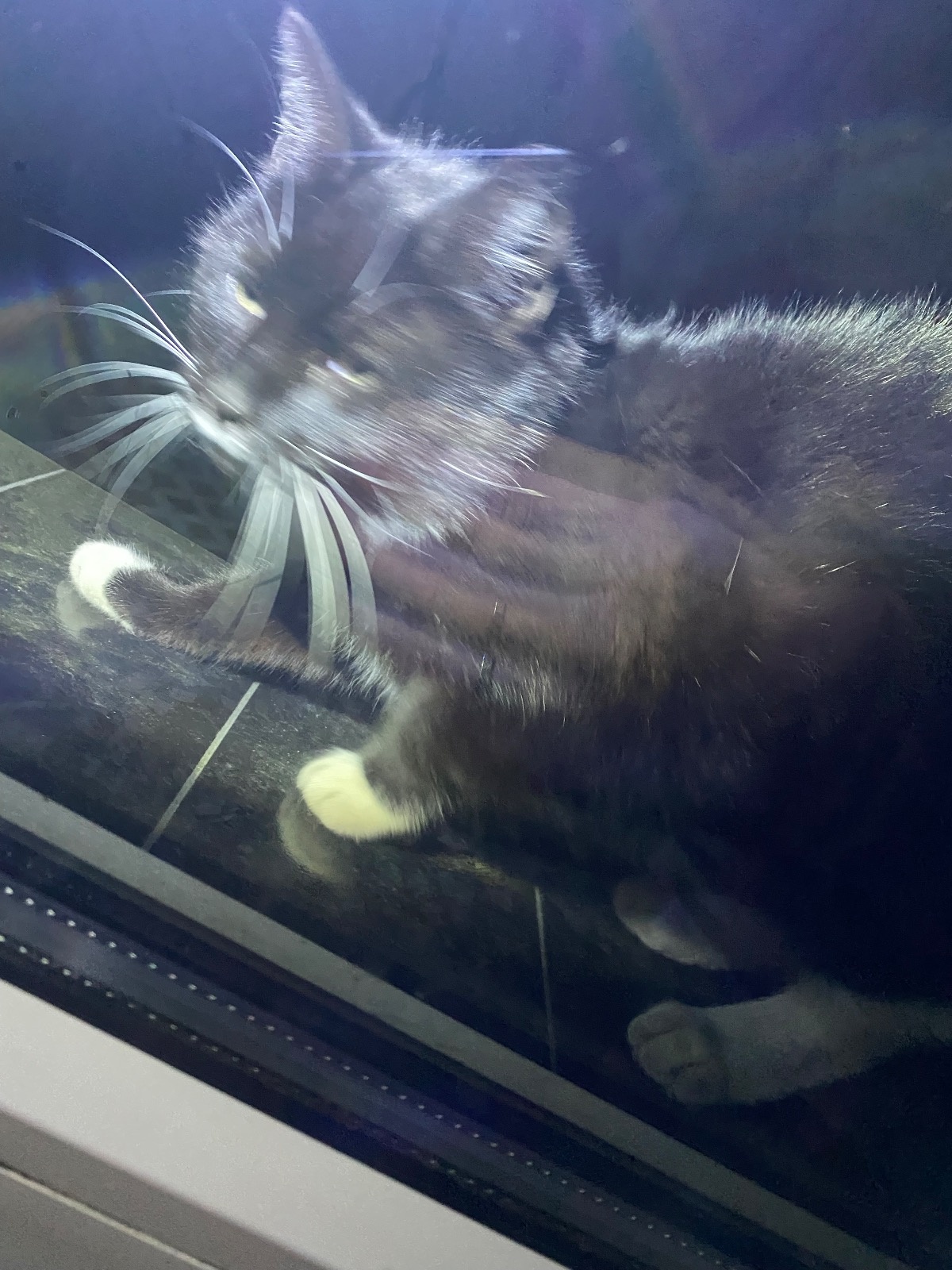 de6f4ed6-eb2e-49c1-b87f-12fc929947b3