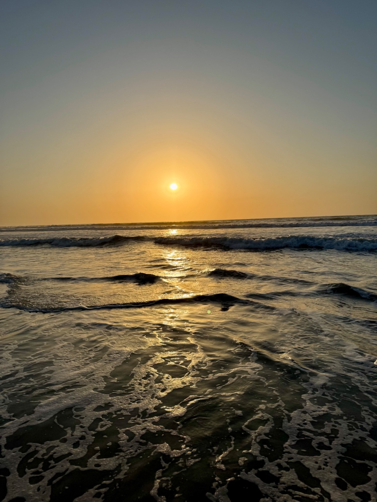 71743767-b743-42c7-b506-2f7cee3c284a