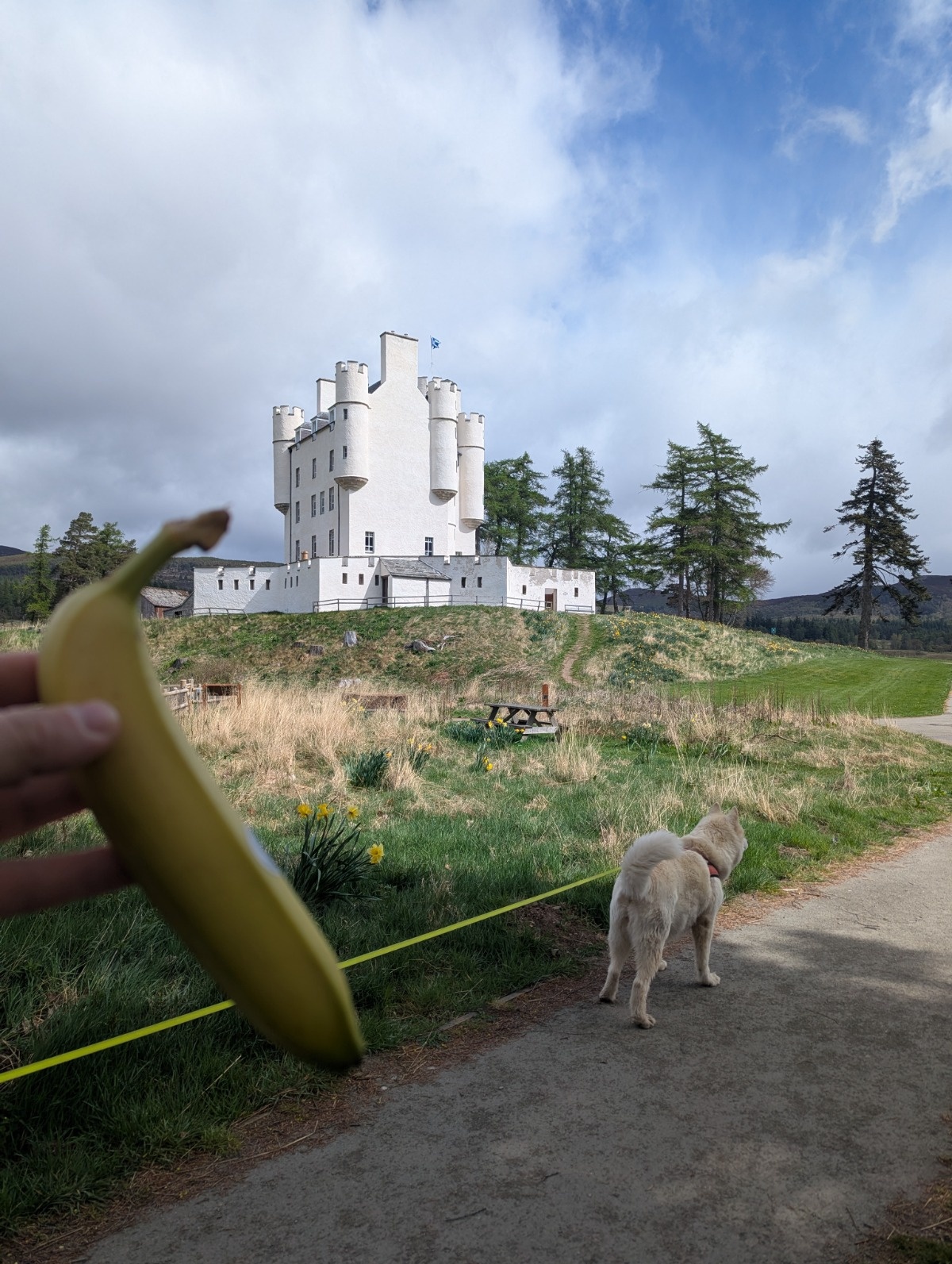 d5fba3bb-dc52-401b-983a-81d941461eb0