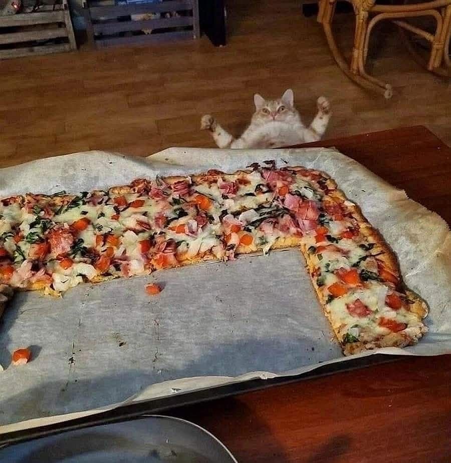 20800bdb-8642-4c41-9438-9ddc99cd4ee5