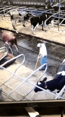 0cef57b1-2a64-4512-8f90-2654872f8d20