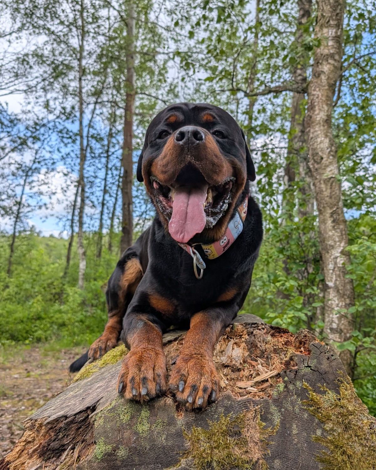 5d5a3917-893a-4d2d-a134-7fe2f61fe218