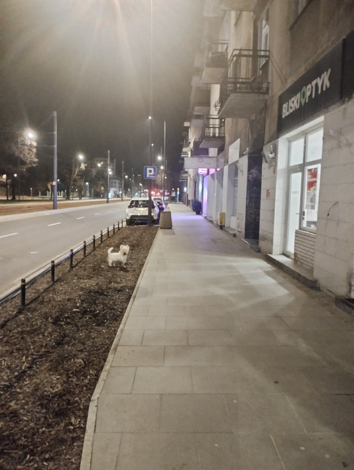 617cae96-8b47-4ebd-a59b-7e150eb2cd15