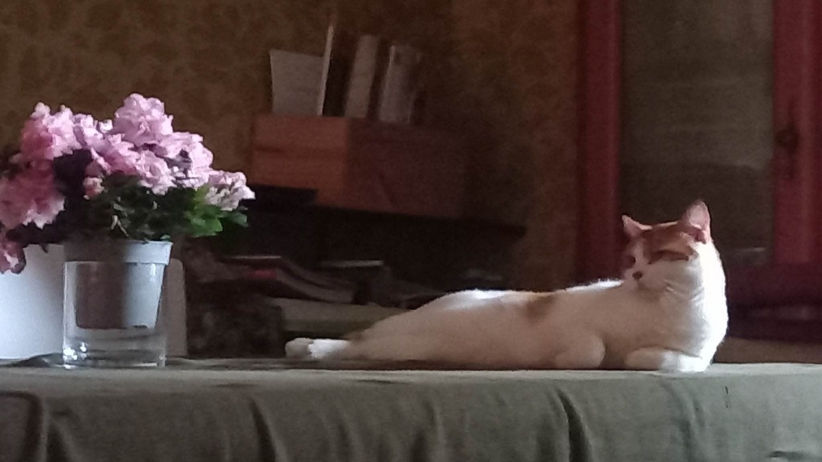 59ff5bb5-a407-41f2-86ce-2778d5e0e5fc