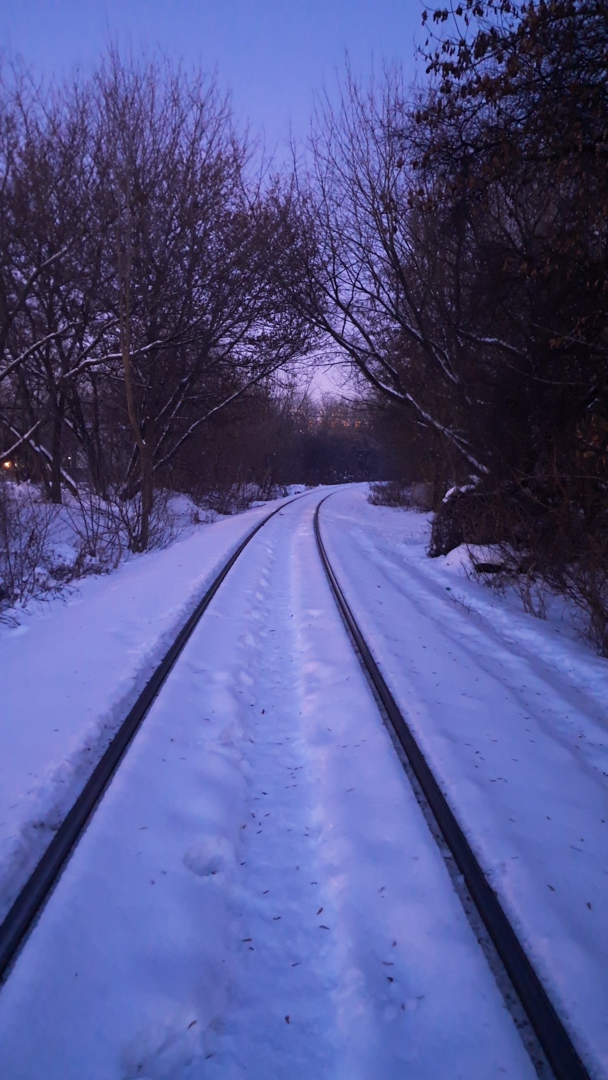 987a8889-6d5b-4e3c-8326-35baf0601b6c