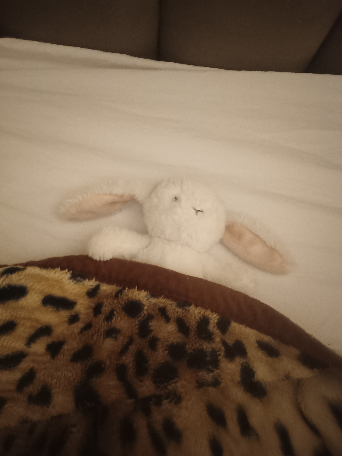 c2527628-337a-492e-8b3e-da5c8acfac33