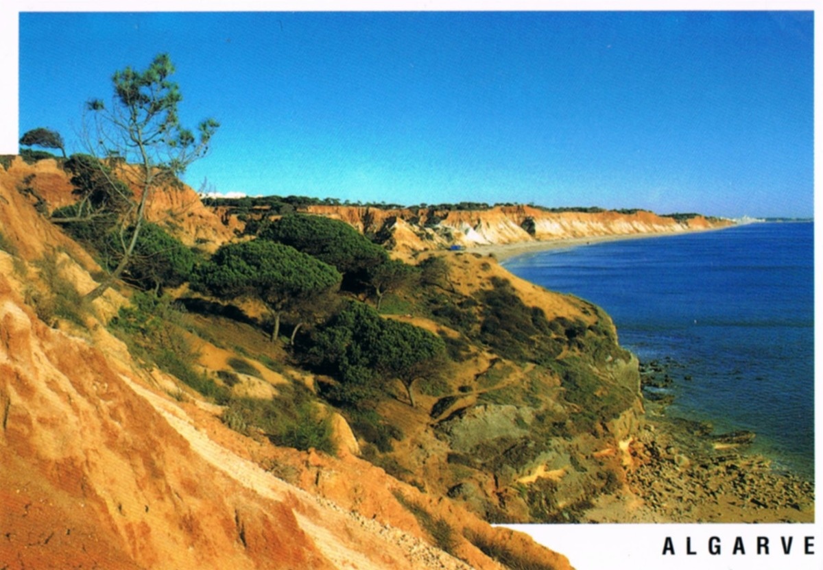 2aadf34e-2060-42f7-88de-4ca8ffcfe938