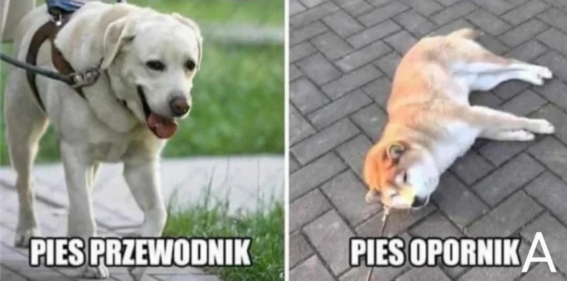 0dcfd214-e256-4171-8e12-1e297c1e678b