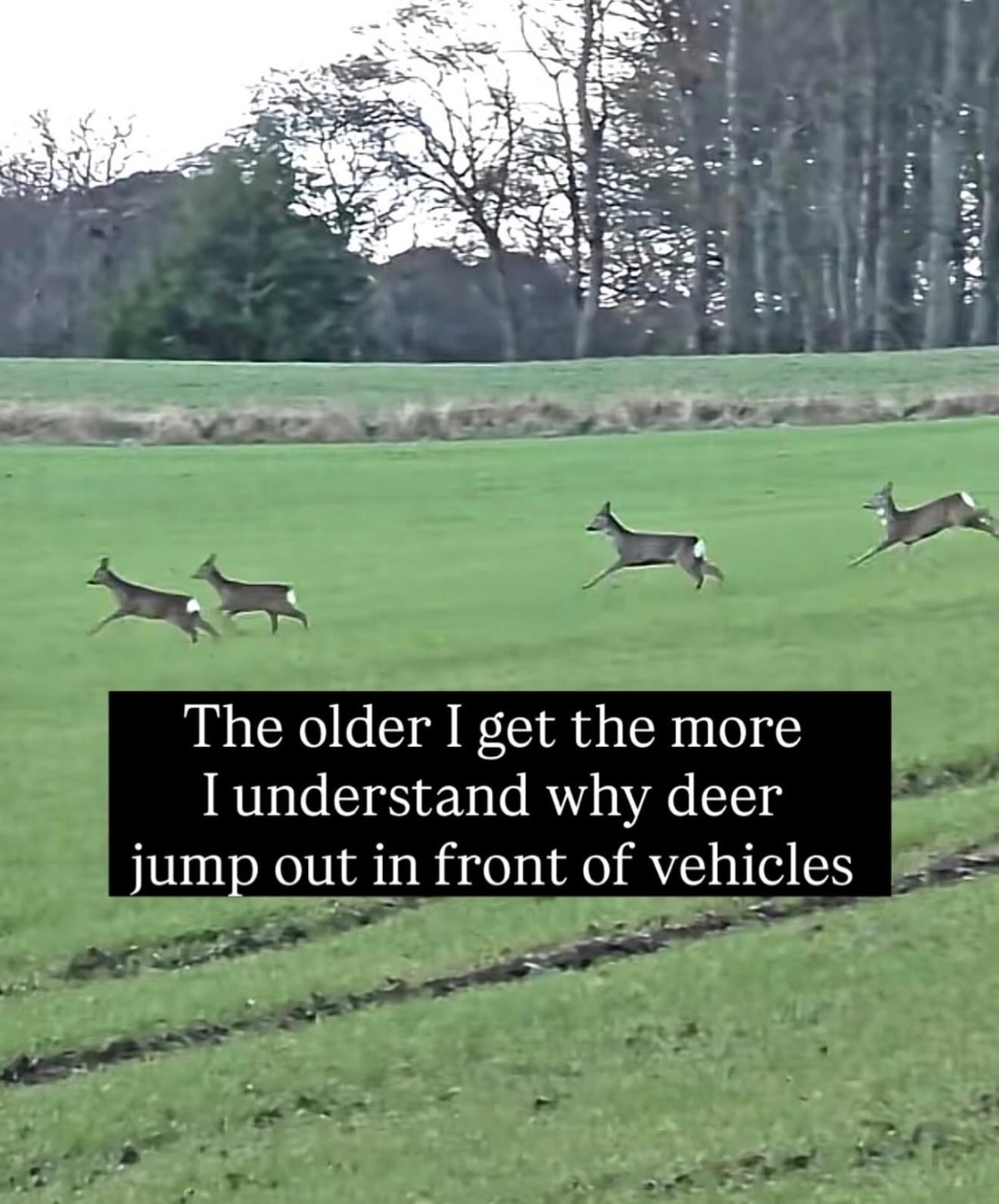 bc318d25-90bd-44e5-8607-46cdc527fa14