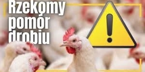 99f62b85-f1c3-4945-9a8d-ad673e71213f