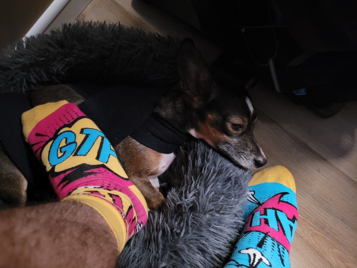 115cde44-d4d9-4322-bbf0-b46fa19db2af