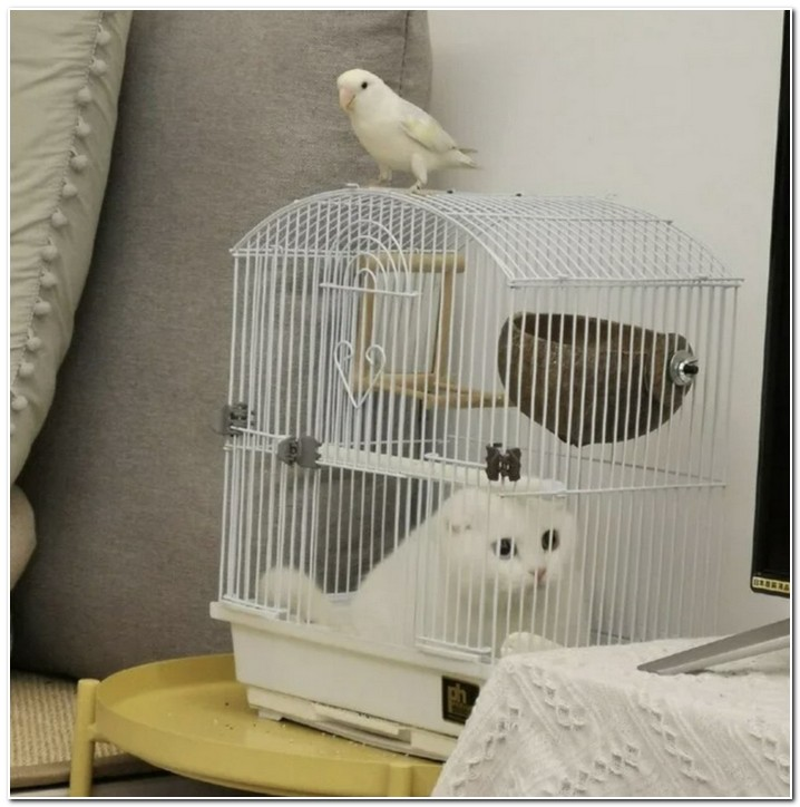 92b2b649-a287-42db-a611-9f5f45b66010