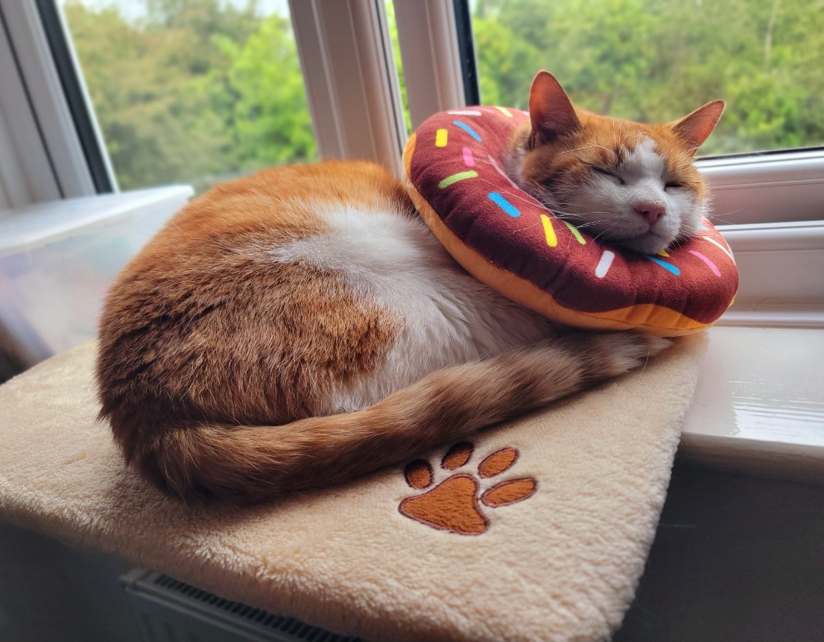 228c5793-a7bd-4455-92c6-30453f5d3d3d