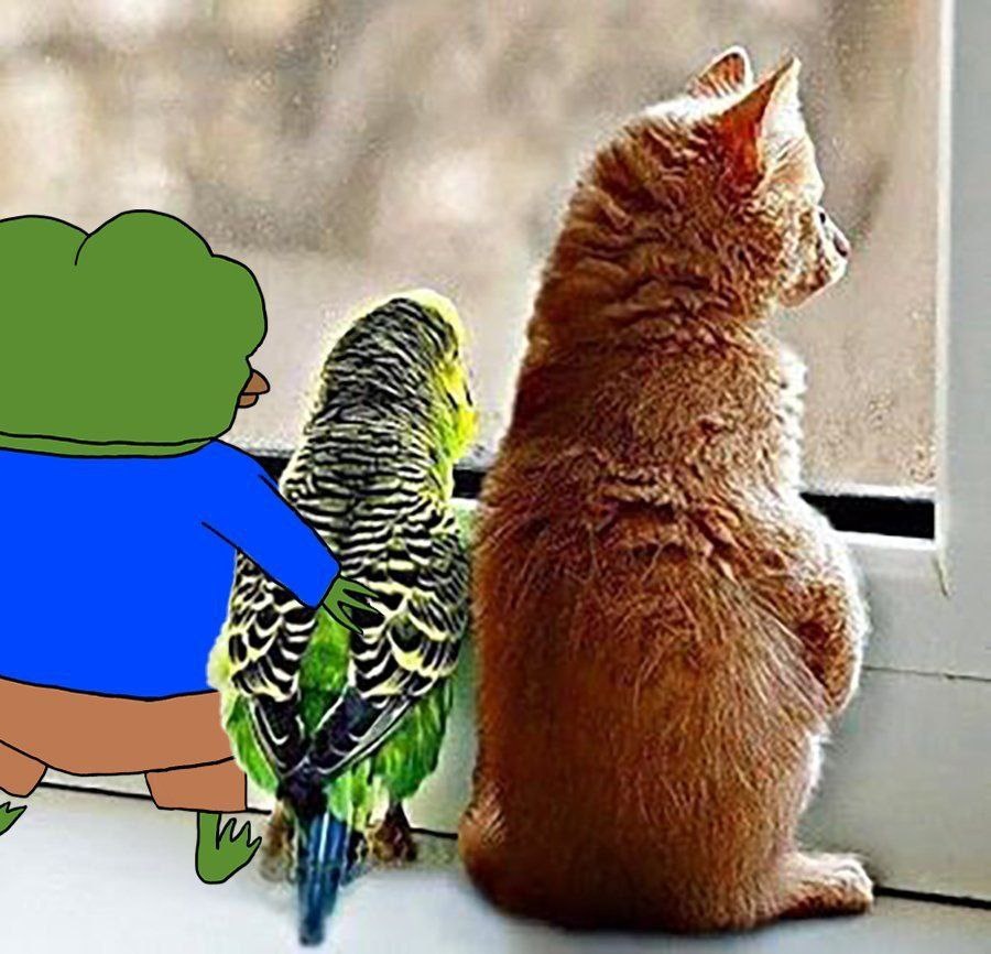 fa27d1de-df06-42ca-8cda-b68db0ab71a9