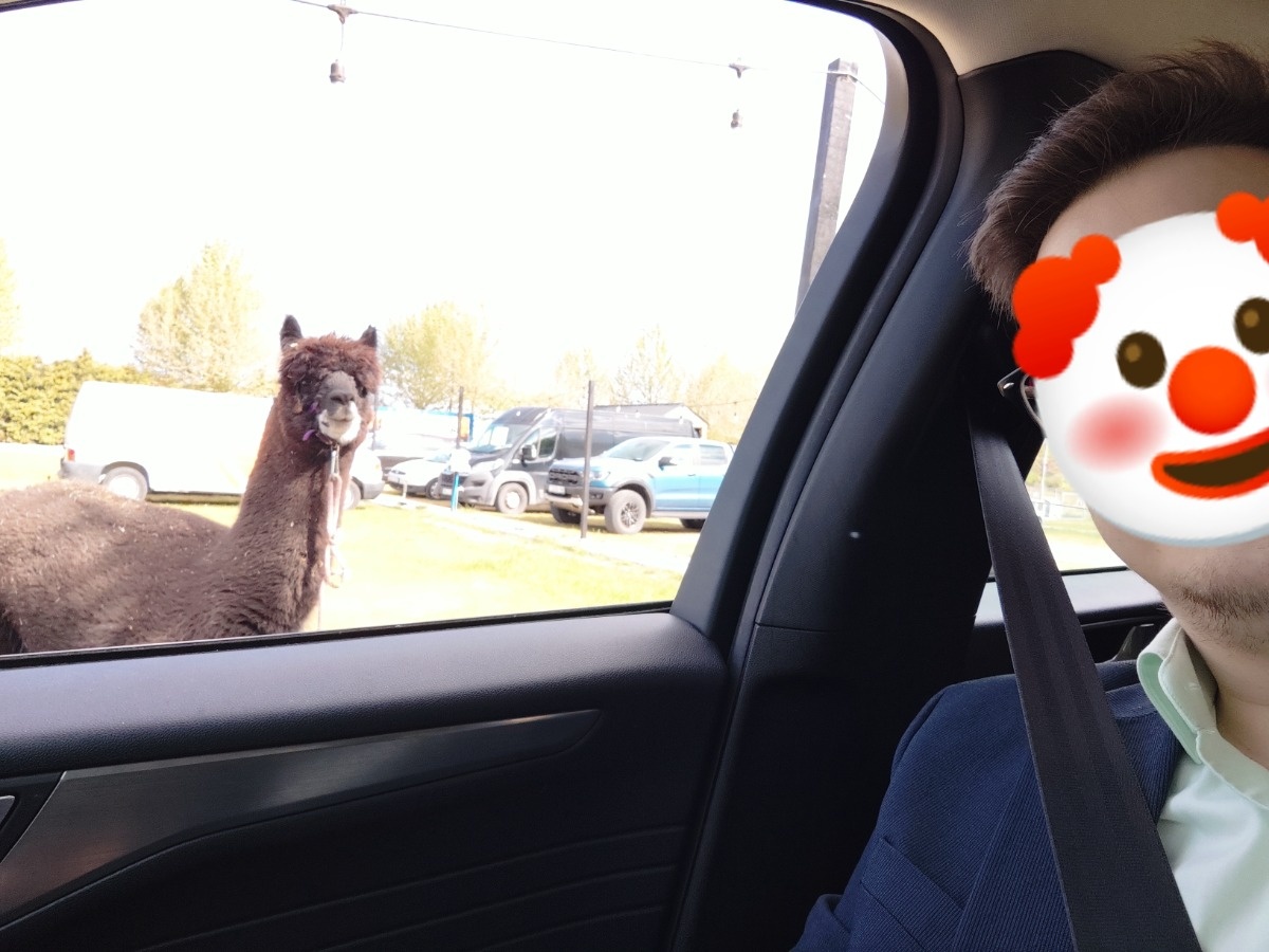 c8f56117-5d86-4f60-b104-d83f686ae509