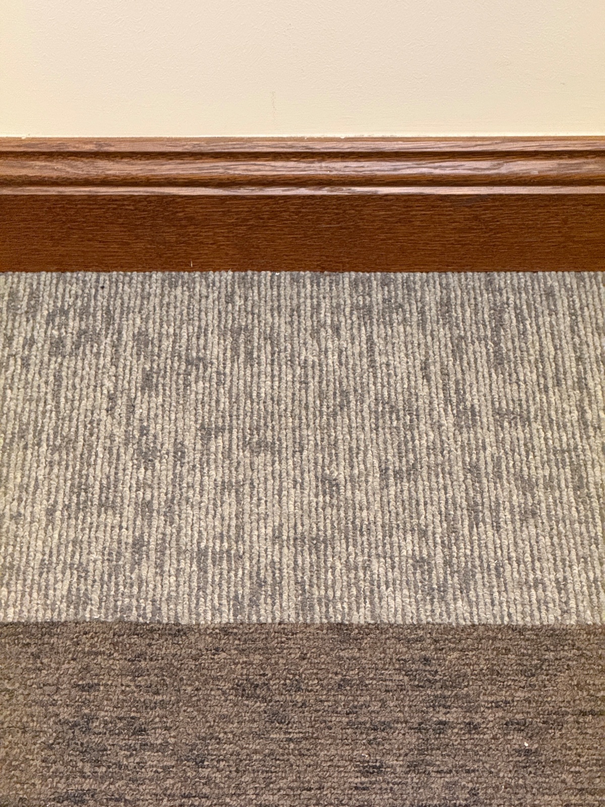 5ac4cea4-705b-4175-bc2a-c02ecea634cd