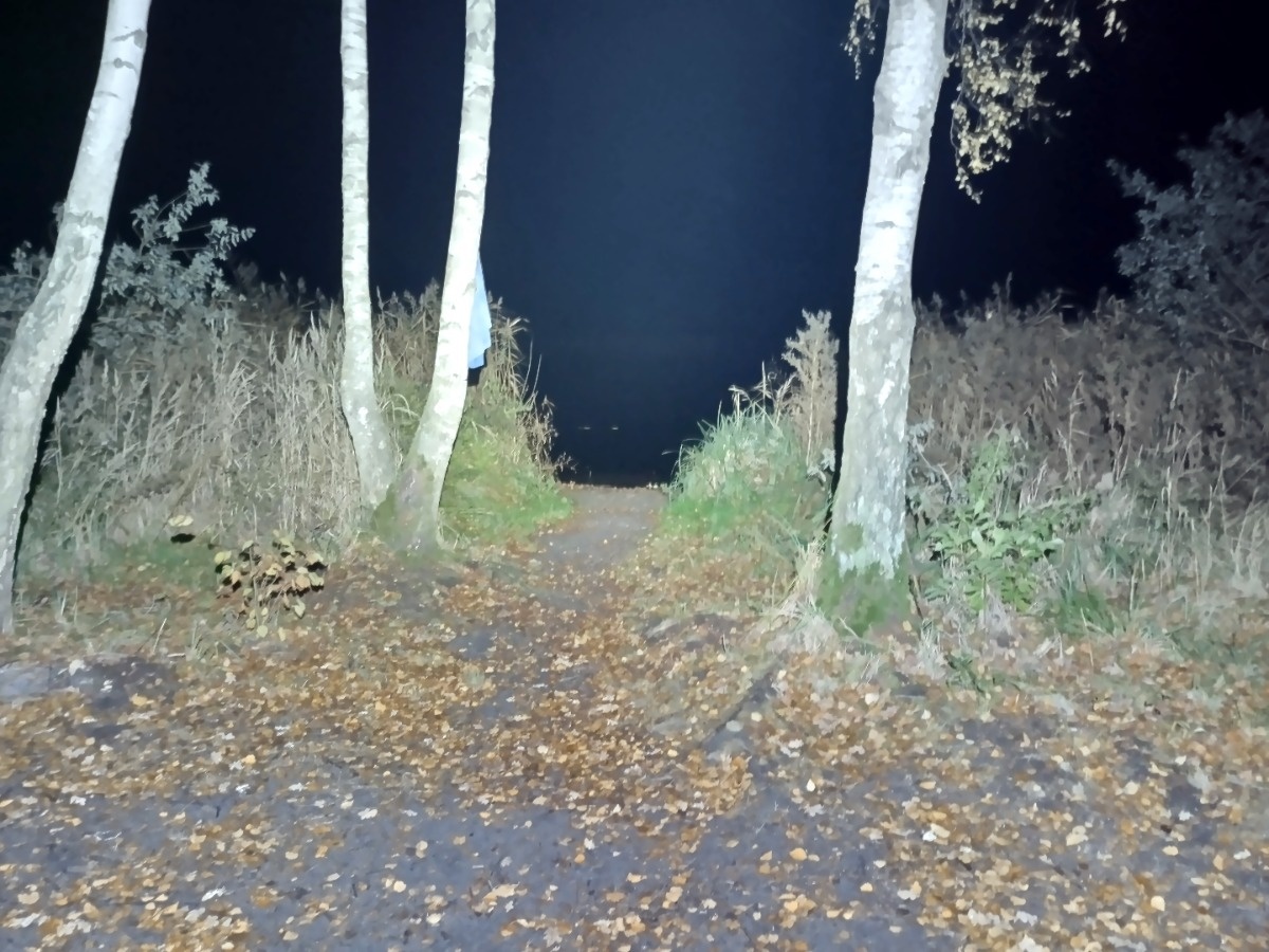 882e29ea-a134-4dc3-87ee-e37d6baf2899