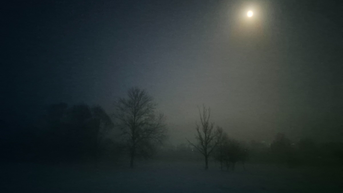 d2b3c721-aa27-4f0e-8df9-92abaeb8fd66