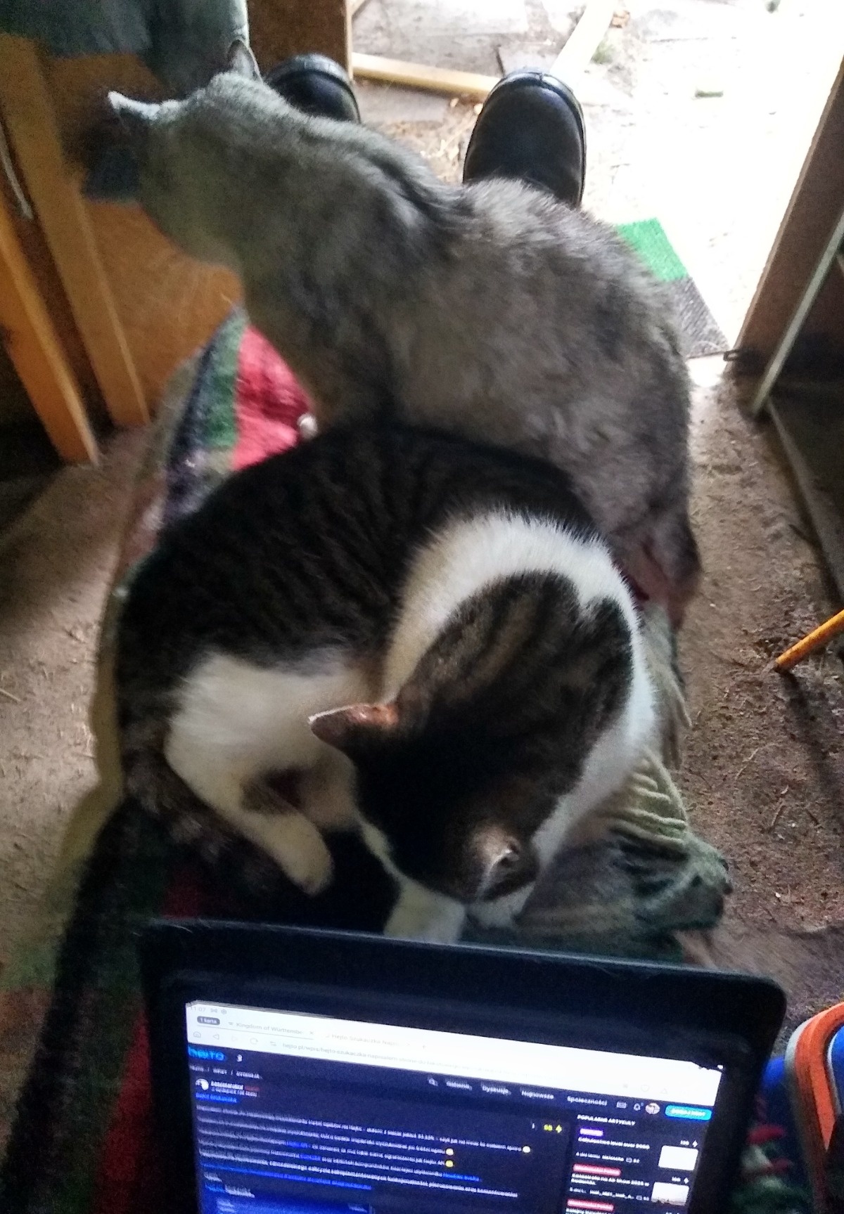 68a5eb44-2e5e-4300-bc7e-95c56e5ddea0