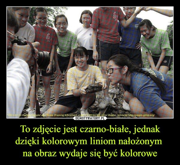 8ae93851-05a9-4a19-b1c3-2de31fde51d6