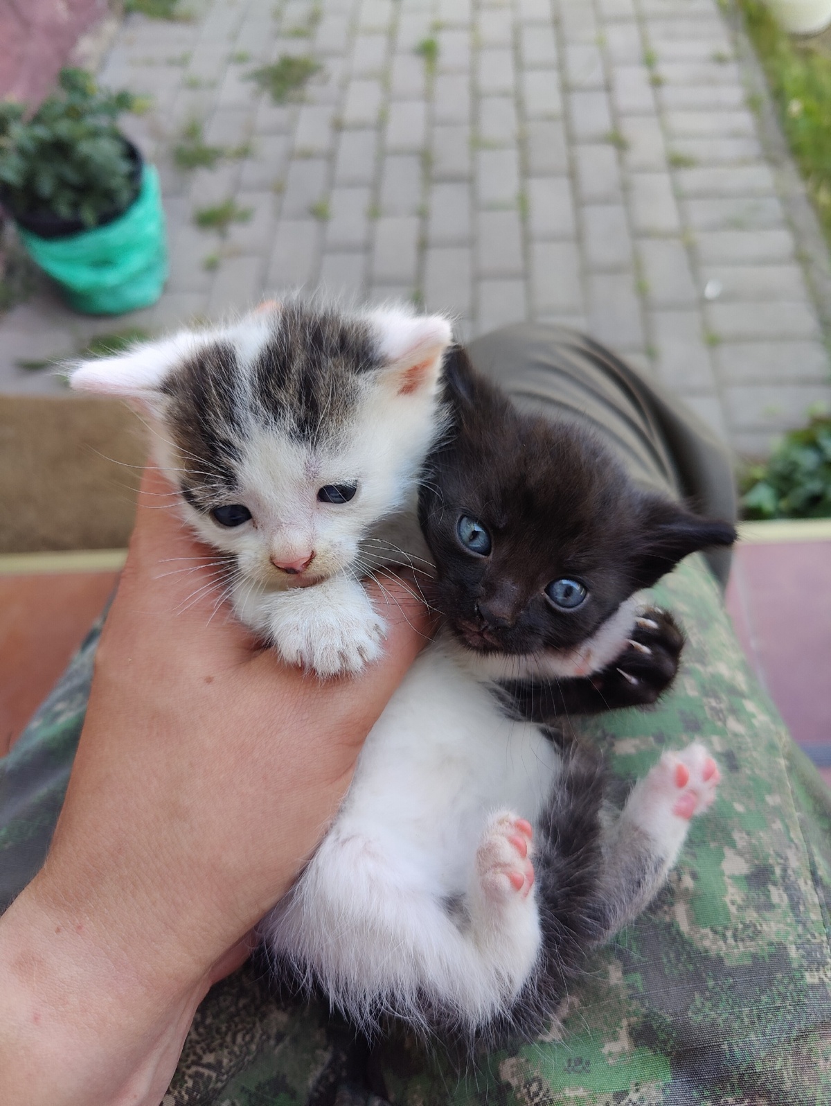 f4ee59a2-2ede-42b7-8e26-630b4720358e