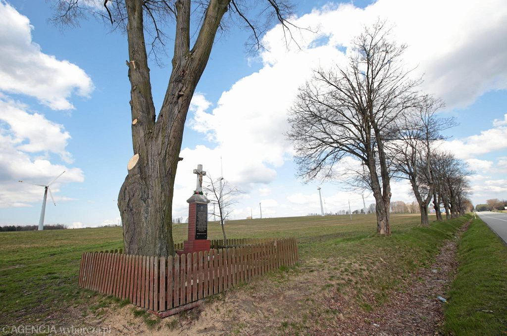 Wielkopolska. Dostali 20 tys. zł kary za brak opieki nad przydrożnym krzyżem. Precedensowa sprawa