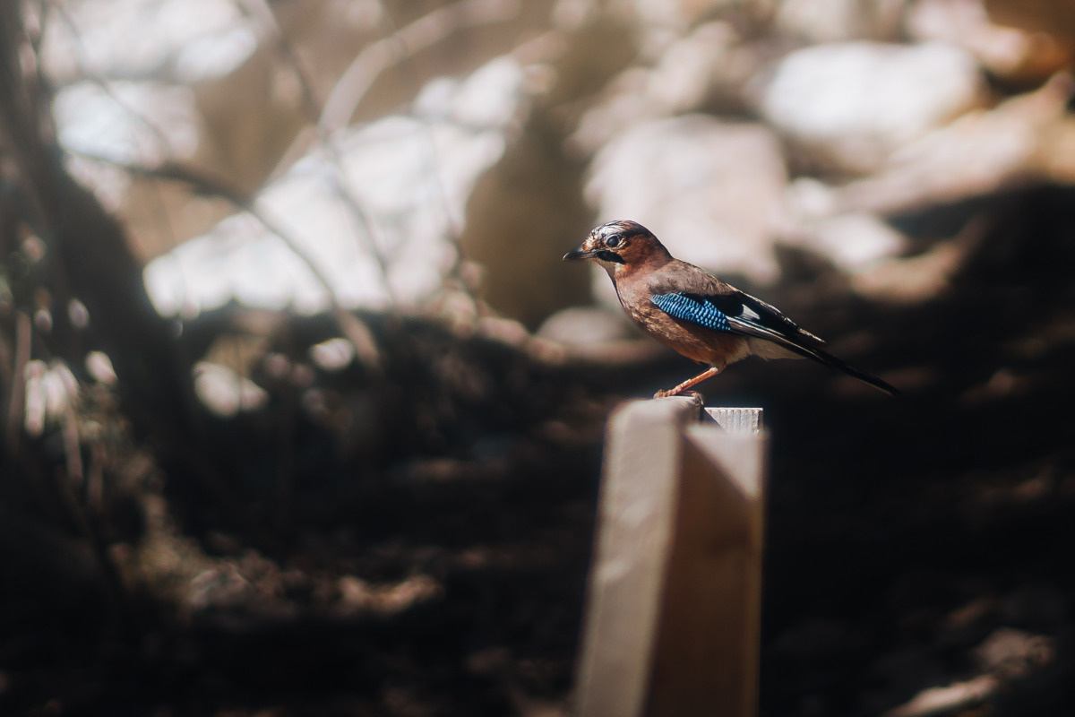 7701d31c-6861-4194-a06b-a587705375d7