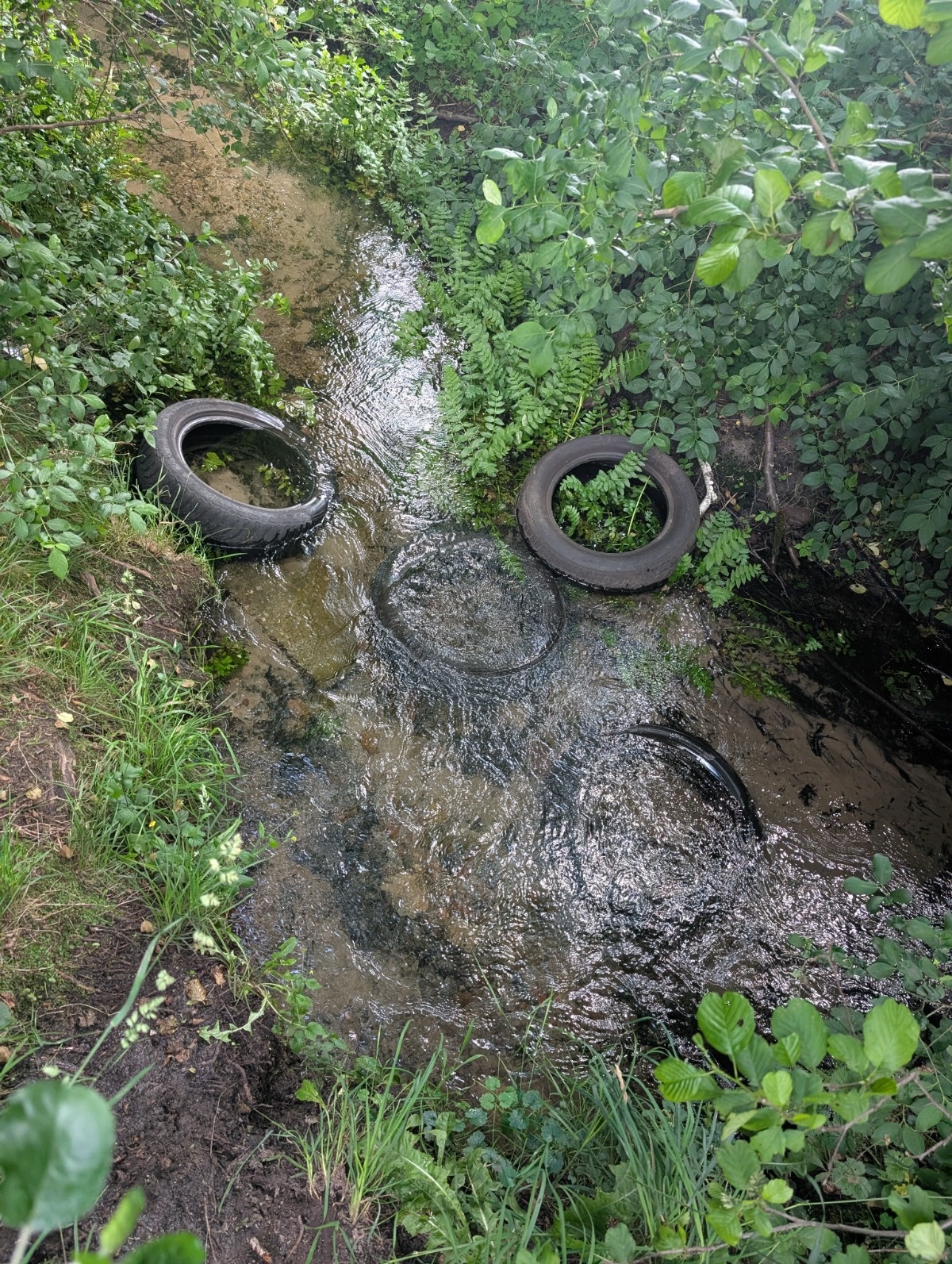 6d32e889-6f19-4108-aae6-8b8699dc37fe