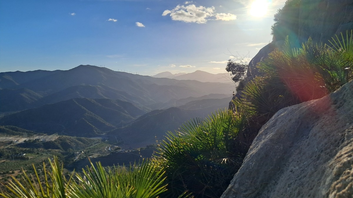 15f41e60-cf40-4e7f-8508-fac8ea6e3d06