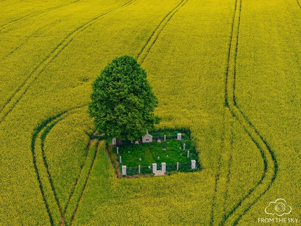 884058a3-8146-412b-8472-f907fb0d2b38