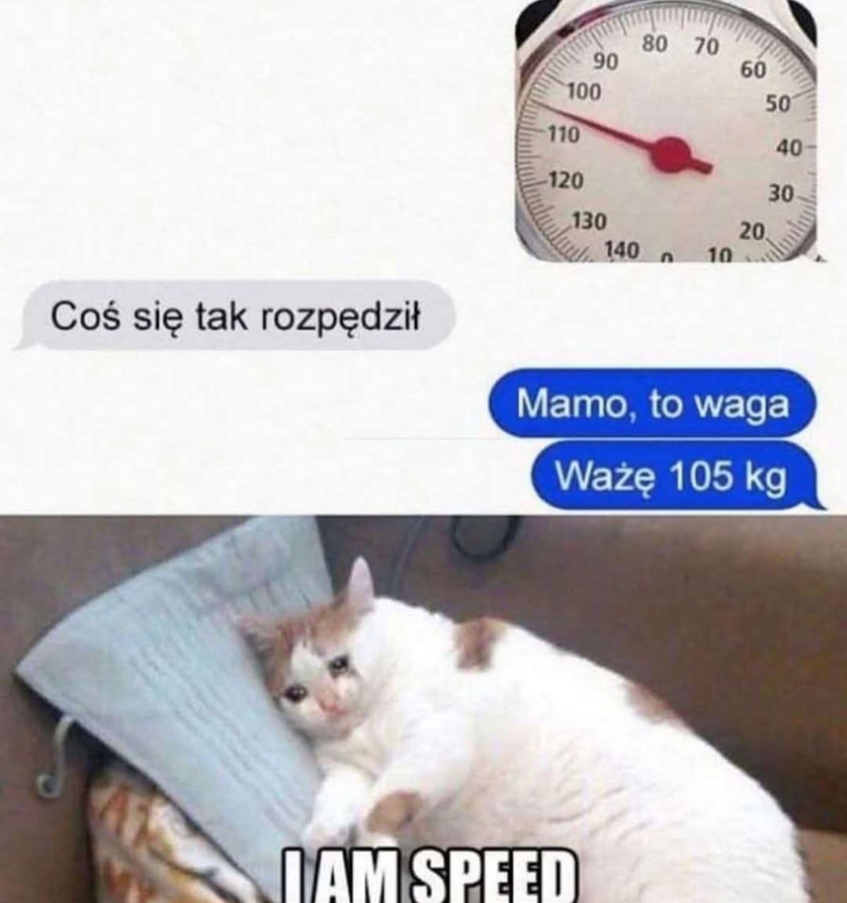 ae1957ac-8f76-49e3-8fea-3ca75aa925cc