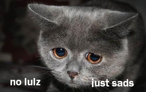 861a053a-378c-4755-a3c5-5a97d6f0e8b1