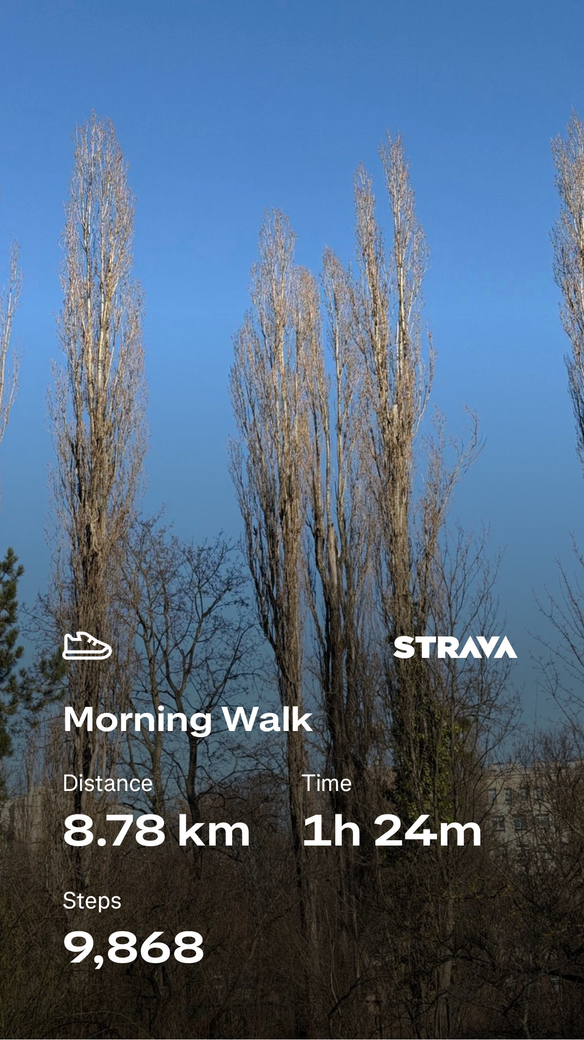 ffcb653d-c6a8-4b09-aca9-6f33f04e236f