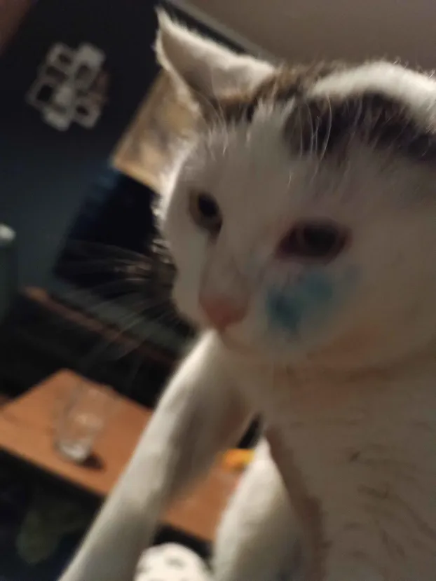 05487ec0-0cb3-4897-ada8-e9bc59737f54