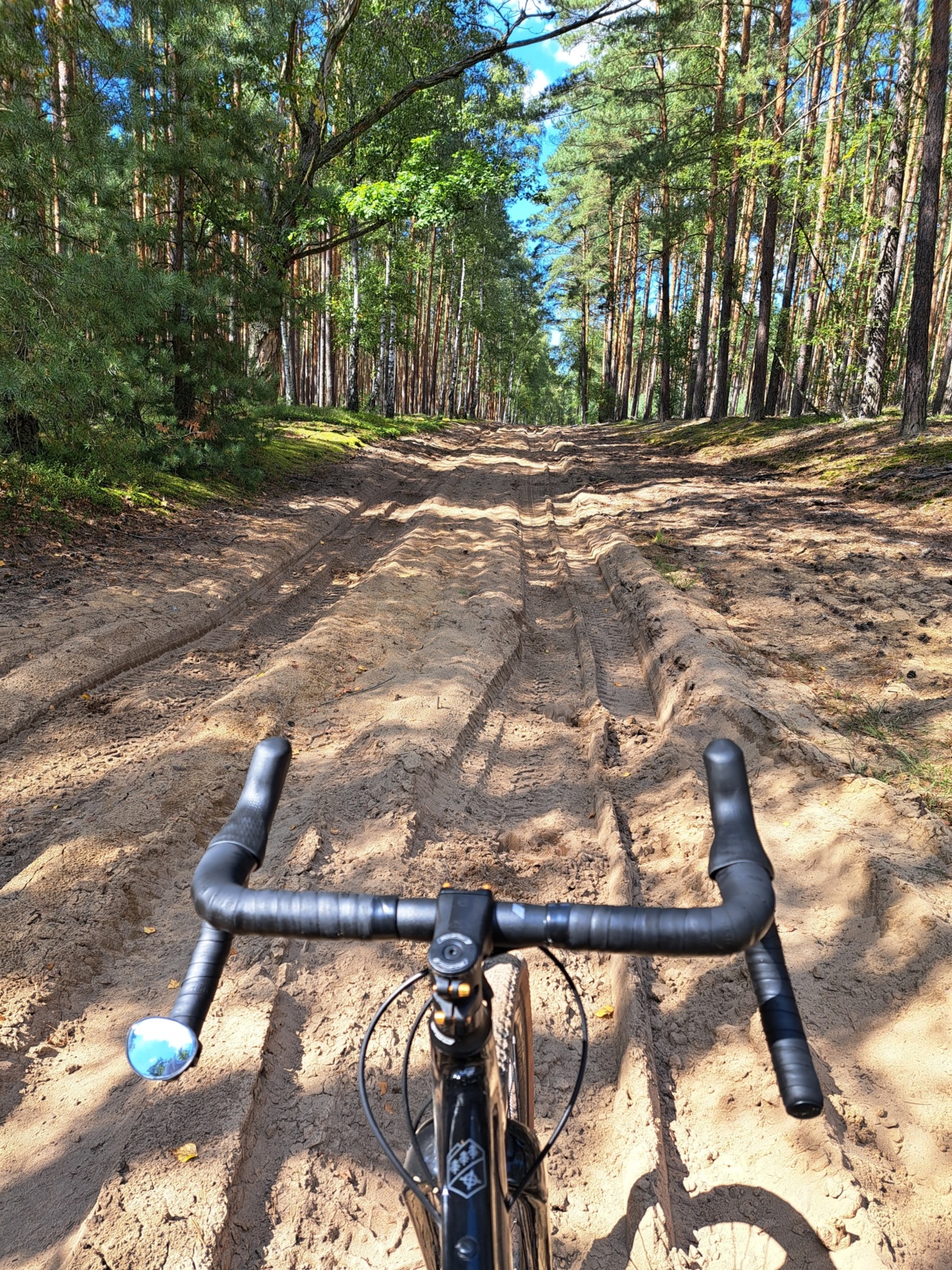 84d48b43-e343-4ce7-95e8-fc2a207736a4