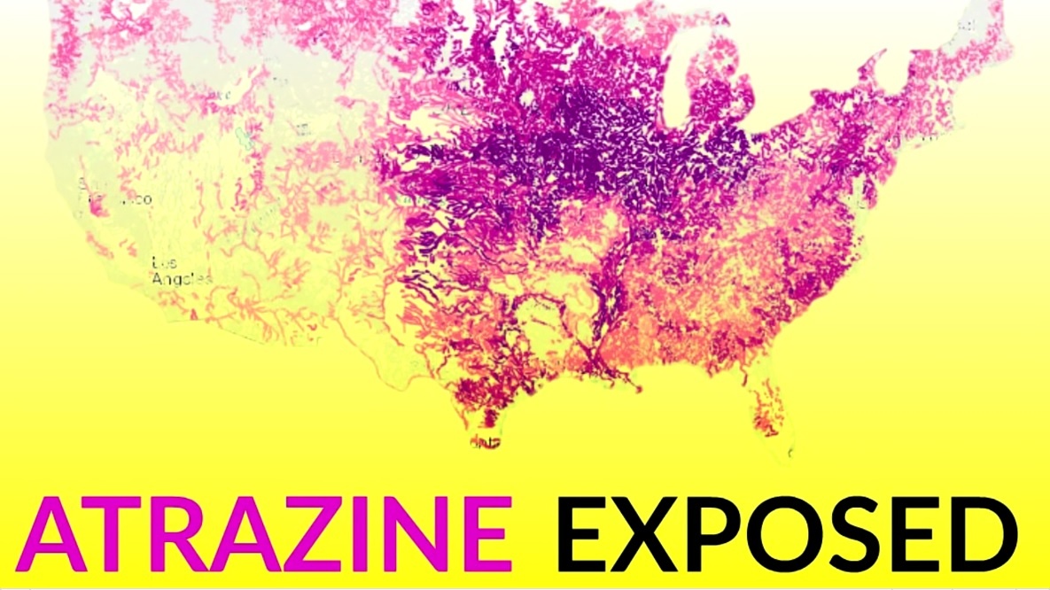 1598ebaf-409e-48c8-9892-8d4026f01016