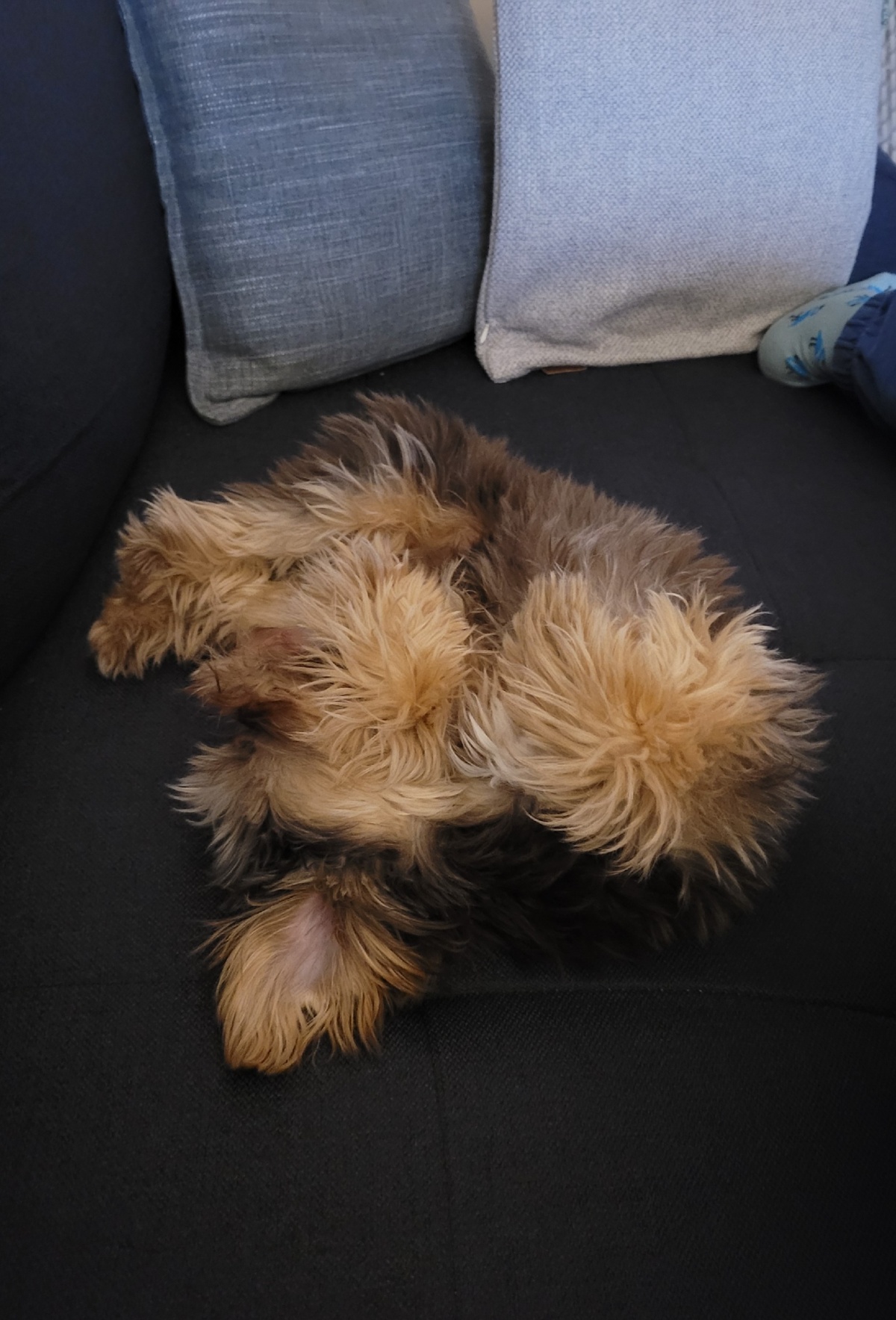 303156ce-9533-43cc-95f1-b1165c47035d