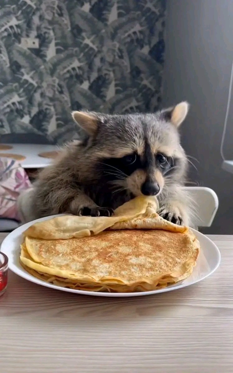 9452b51e-439a-4229-8db1-a27a1e6bd39c