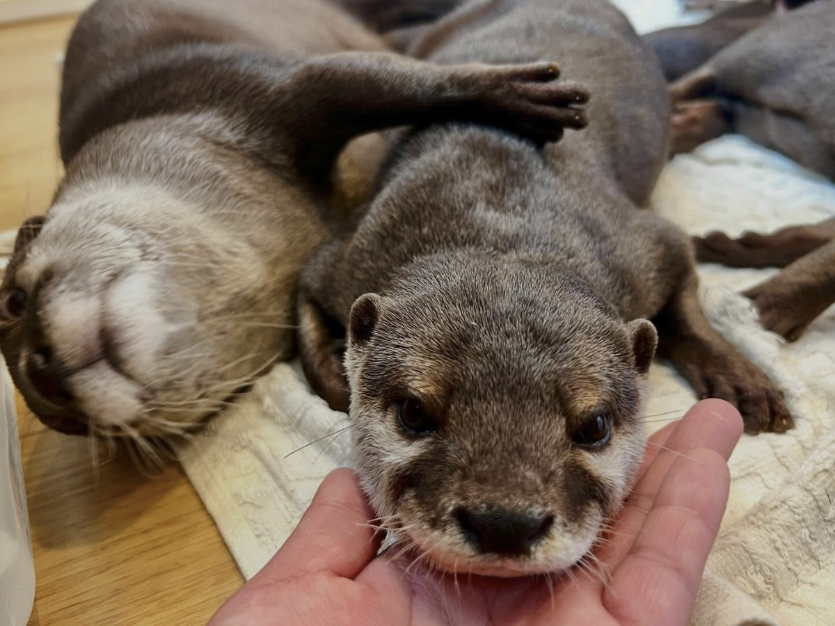 05b23aff-9a03-4dbb-b05a-4a56621c29ee