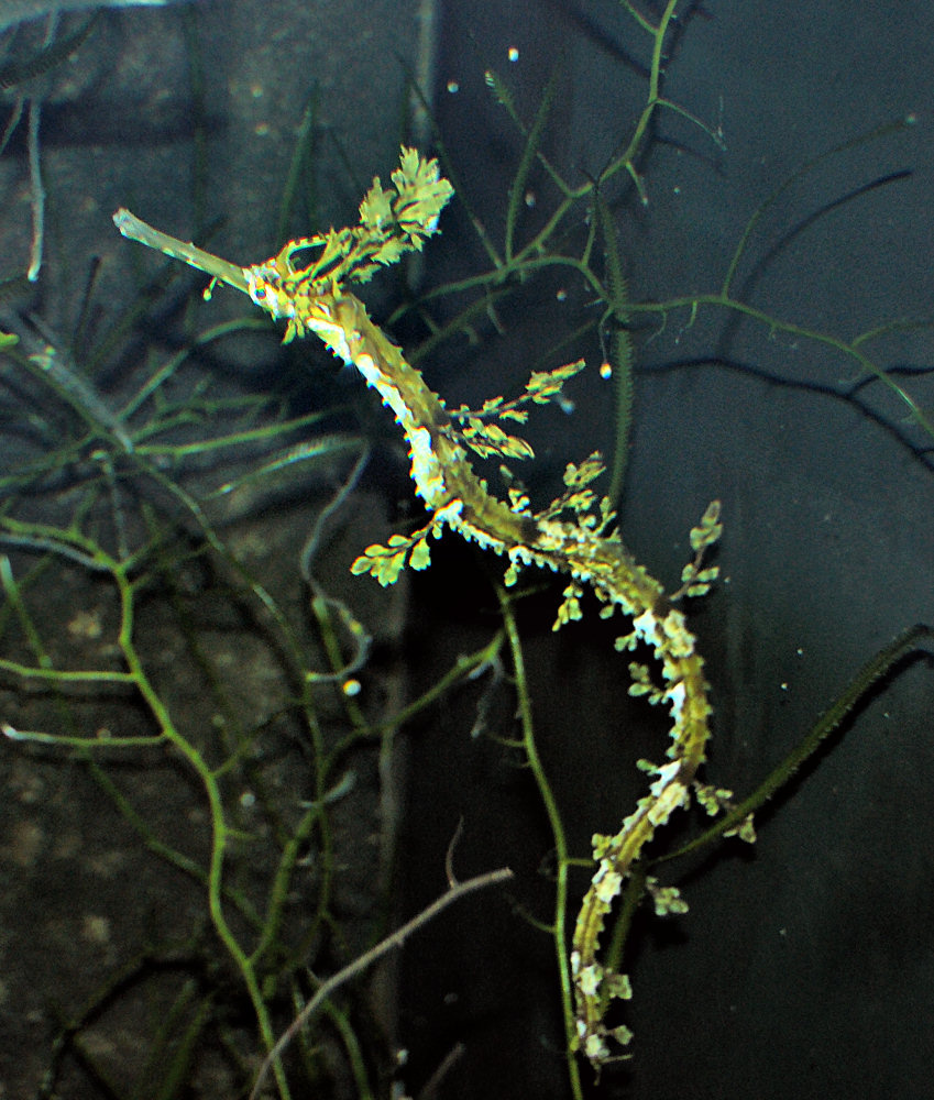 e0725616-6b8d-46c8-8775-65966c47f9dc