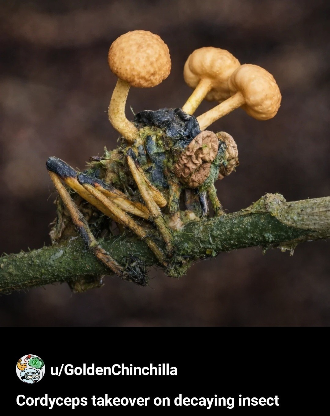 9e4d505b-9134-4986-9529-71fd6f178019