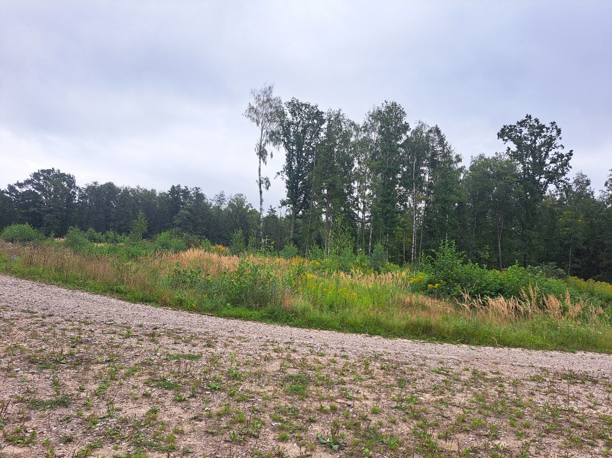 c02e6bdc-0de1-4cd9-b902-39dfaaeabd22