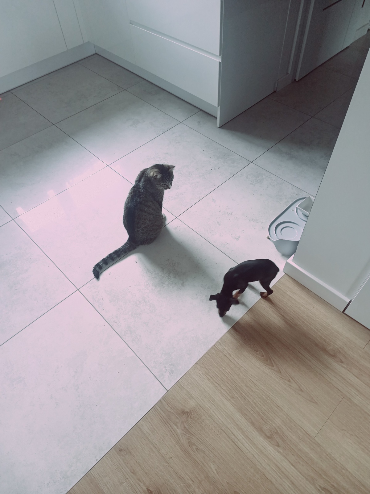 59dd2daa-e59c-4b5b-ba0a-d81826b3b9c8