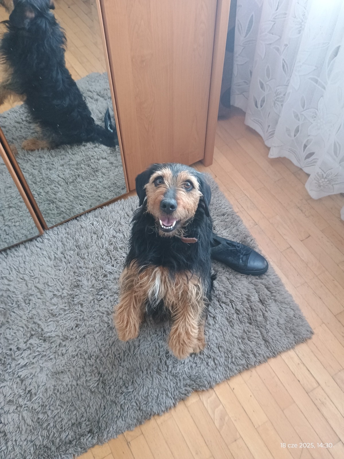 71e2416d-3a84-4ef5-9c71-a39064e403ff