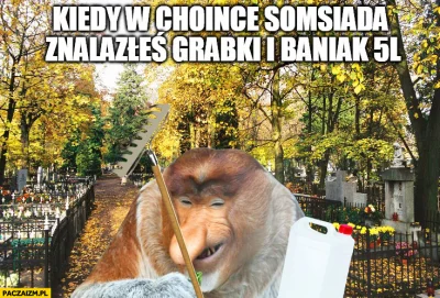 f07af696-be8a-4001-b0b6-f7528002d44e