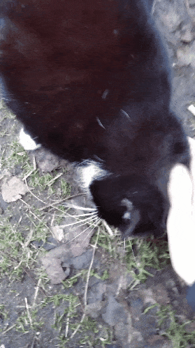 f4d5cae3-df3a-48c1-b994-7b66c80feec7