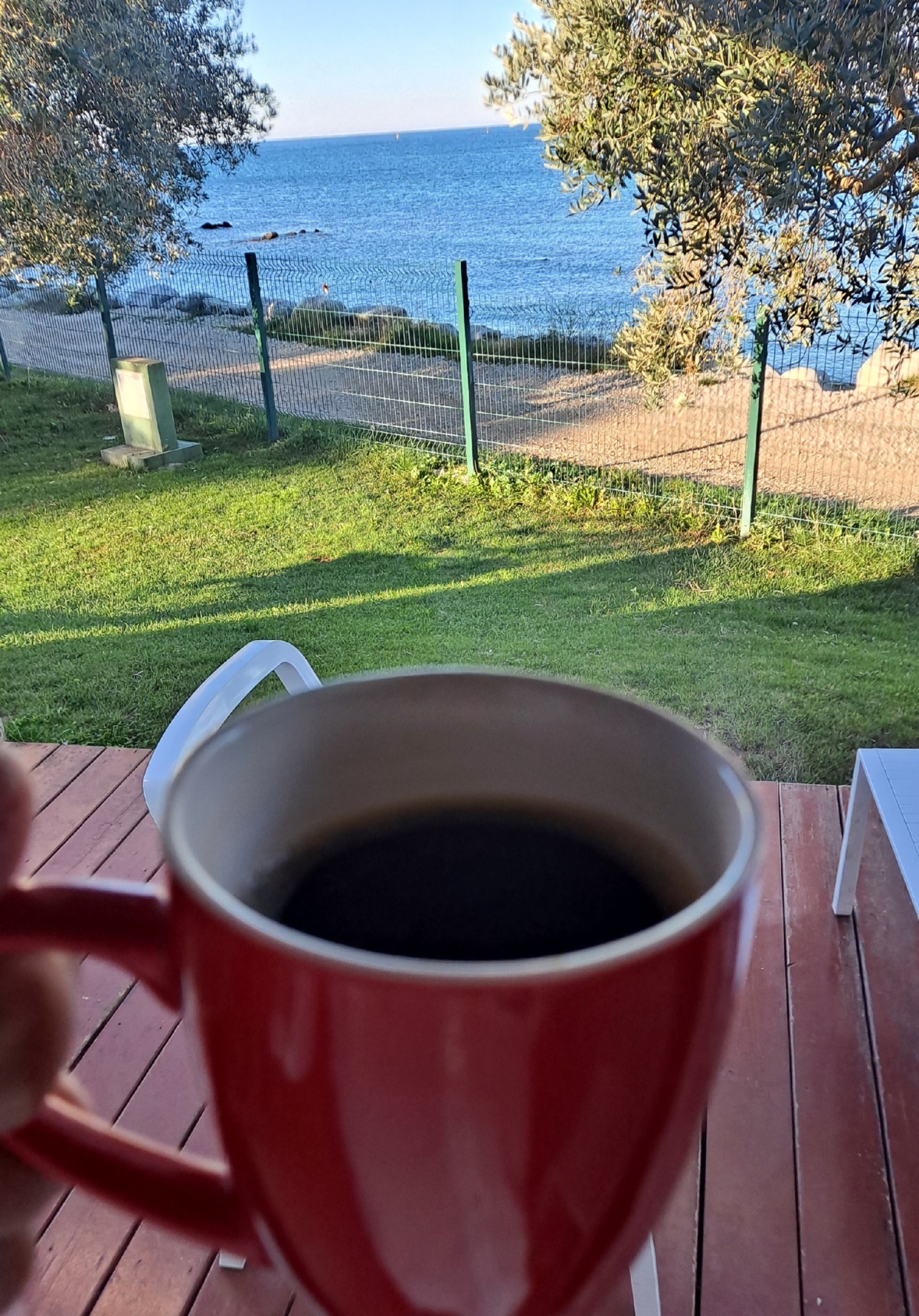 f5c860cf-175a-49fa-8a3f-afd42d207a18