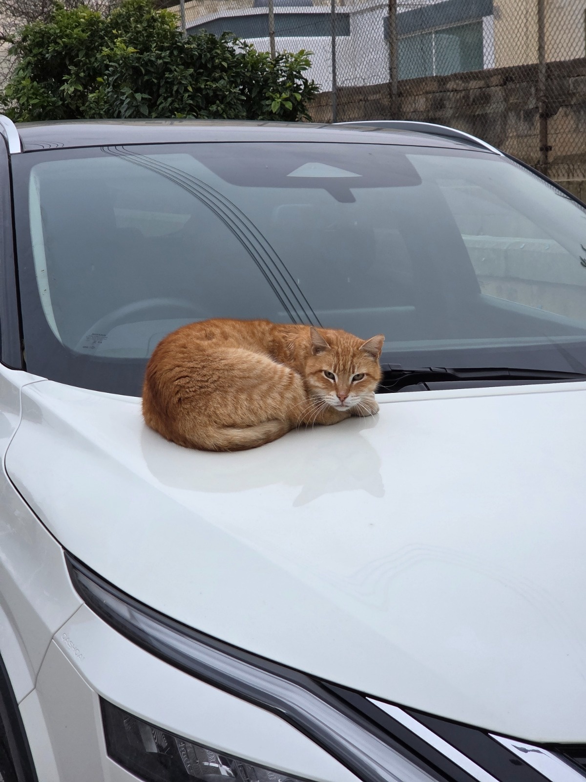 34c13ea4-30c1-4a98-9eab-8df8c00ecb76